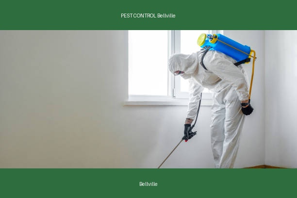 PEST CONTROL Bellville